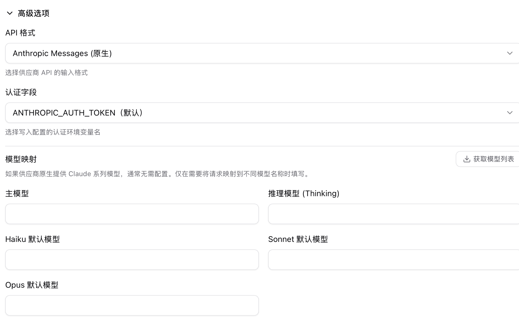 高级选项中填写模型